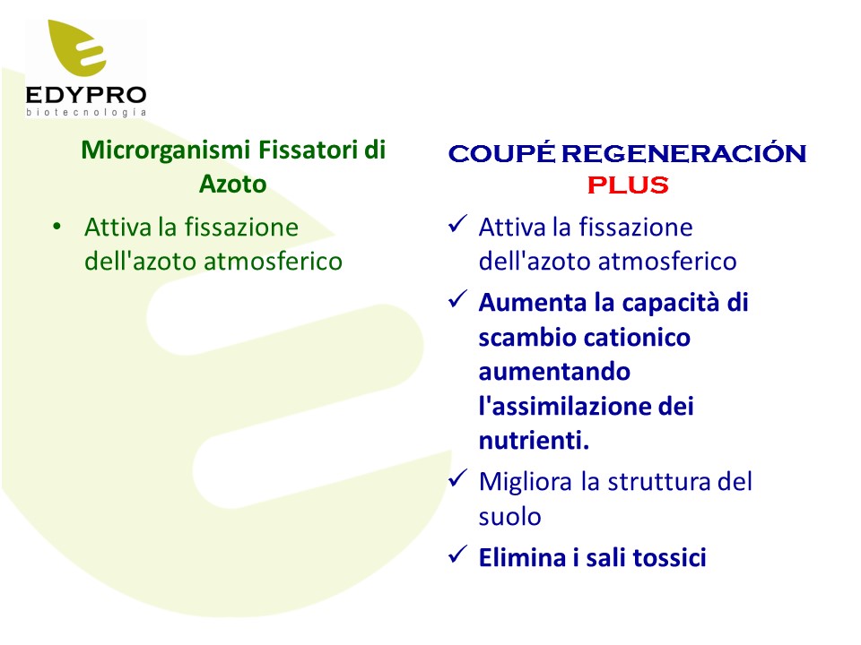 Confronto fissatori di N con COUPÉ